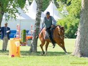 Pferd International 2025: Masters of Speed präsentiert von Josera Pferdefutter