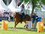 Pferd International 2025: Masters of Speed präsentiert von Josera Pferdefutter