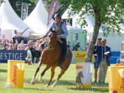 Pferd International 2025: Masters of Speed präsentiert von Josera Pferdefutter