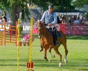 Pferd International 2025: Masters of Speed präsentiert von Josera Pferdefutter