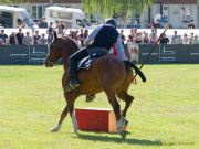 Pferd International 2025: Masters of Speed präsentiert von Josera Pferdefutter