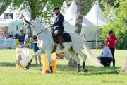 Pferd International 2025: Masters of Speed präsentiert von Josera Pferdefutter