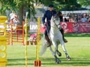 Pferd International 2025: Masters of Speed präsentiert von Josera Pferdefutter