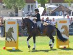 Pferd International 2025: Masters of Speed präsentiert von Josera Pferdefutter