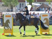 Pferd International 2025: Masters of Speed präsentiert von Josera Pferdefutter