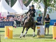 Pferd International 2025: Masters of Speed präsentiert von Josera Pferdefutter