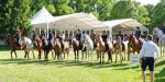Pferd International 2025: Masters of Speed präsentiert von Josera Pferdefutter