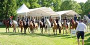 Pferd International 2025: Masters of Speed präsentiert von Josera Pferdefutter