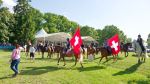 Pferd International 2025: Masters of Speed präsentiert von Josera Pferdefutter
