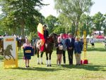 Pferd International 2025: Masters of Speed präsentiert von Josera Pferdefutter