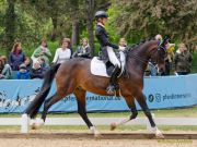 Pferd International 2026: Covalliero präsentiert:
CDI3Pferd International 2026 Grand Prix Special - international