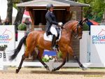 Pferd International 2026: Covalliero präsentiert:
CDI3Pferd International 2026 Grand Prix Special - international