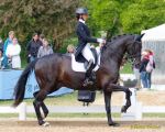 Pferd International 2026: Covalliero präsentiert:
CDI3Pferd International 2026 Grand Prix Special - international