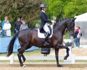 Pferd International 2026: Covalliero präsentiert:
CDI3Pferd International 2026 Grand Prix Special - international