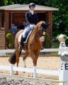 Pferd International 2026: Covalliero präsentiert:
CDI3Pferd International 2026 Grand Prix Special - international