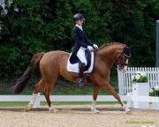 Pferd International 2026: Covalliero präsentiert:
CDI3Pferd International 2026 Grand Prix Special - international