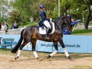 Pferd International 2026: Covalliero präsentiert:
CDI3Pferd International 2026 Grand Prix Special - international