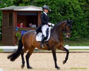Pferd International 2026: Preis der IWEST Tierernährung - CDI5Pferd International 2026 Grand Prix - international