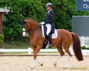 Pferd International 2026: Preis der IWEST Tierernährung - CDI5Pferd International 2026 Grand Prix - international