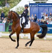 Pferd International 2026: Preis der IWEST Tierernährung - CDI5Pferd International 2026 Grand Prix - international