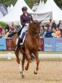 Pferd International 2026: Preis der IWEST Tierernährung - CDI5Pferd International 2026 Grand Prix - international
