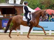 Pferd International 2026: Preis der IWEST Tierernährung - CDI5Pferd International 2026 Grand Prix - international