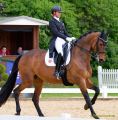 Pferd International 2026: Preis der IWEST Tierernährung - CDI5Pferd International 2026 Grand Prix - international