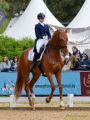 Pferd International 2026: Preis der IWEST Tierernährung - CDI5Pferd International 2026 Grand Prix - international