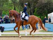 Pferd International 2026: Preis der IWEST Tierernährung - CDI5Pferd International 2026 Grand Prix - international