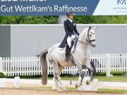 Pferd International 2026: Preis der Kaffeerösterei Martermühle - CDI3 Grand Prix - International