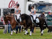Pferd International 2026