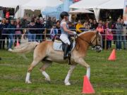 Pferd International 2026