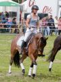 Pferd International 2026