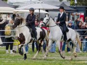 Pferd International 2026