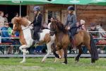 Pferd International 2026