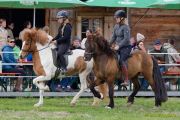 Pferd International 2026