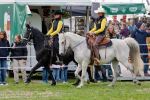 Pferd International 2026
