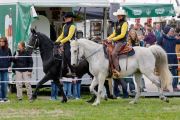 Pferd International 2026