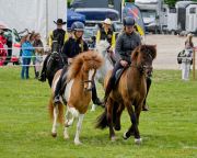 Pferd International 2026