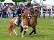 Pferd International 2026