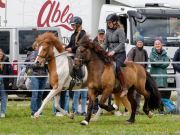 Pferd International 2026