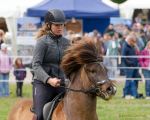 Pferd International 2026