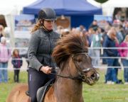 Pferd International 2026