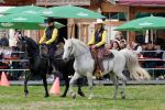 Pferd International 2026
