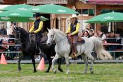 Pferd International 2026