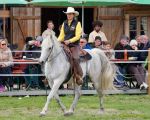 Pferd International 2026