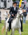 Pferd International 2026