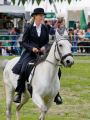 Pferd International 2026
