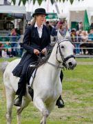 Pferd International 2026