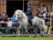 Pferd International 2026